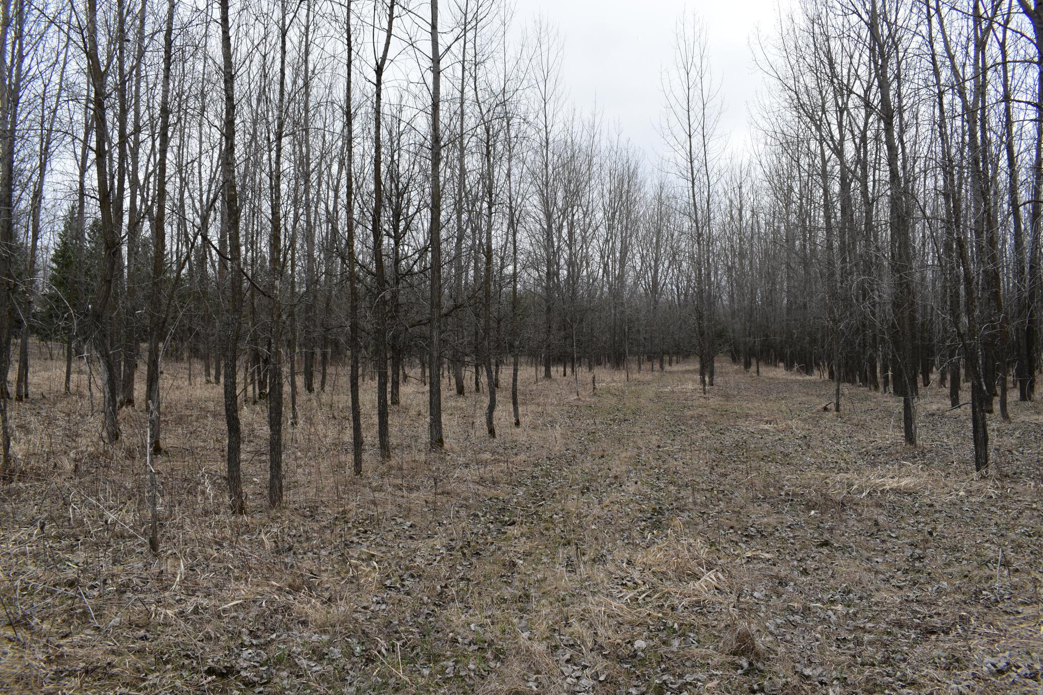 Tbd 370th Avenue Southwest Fisher, MN 56723 - Photo 23 of 42