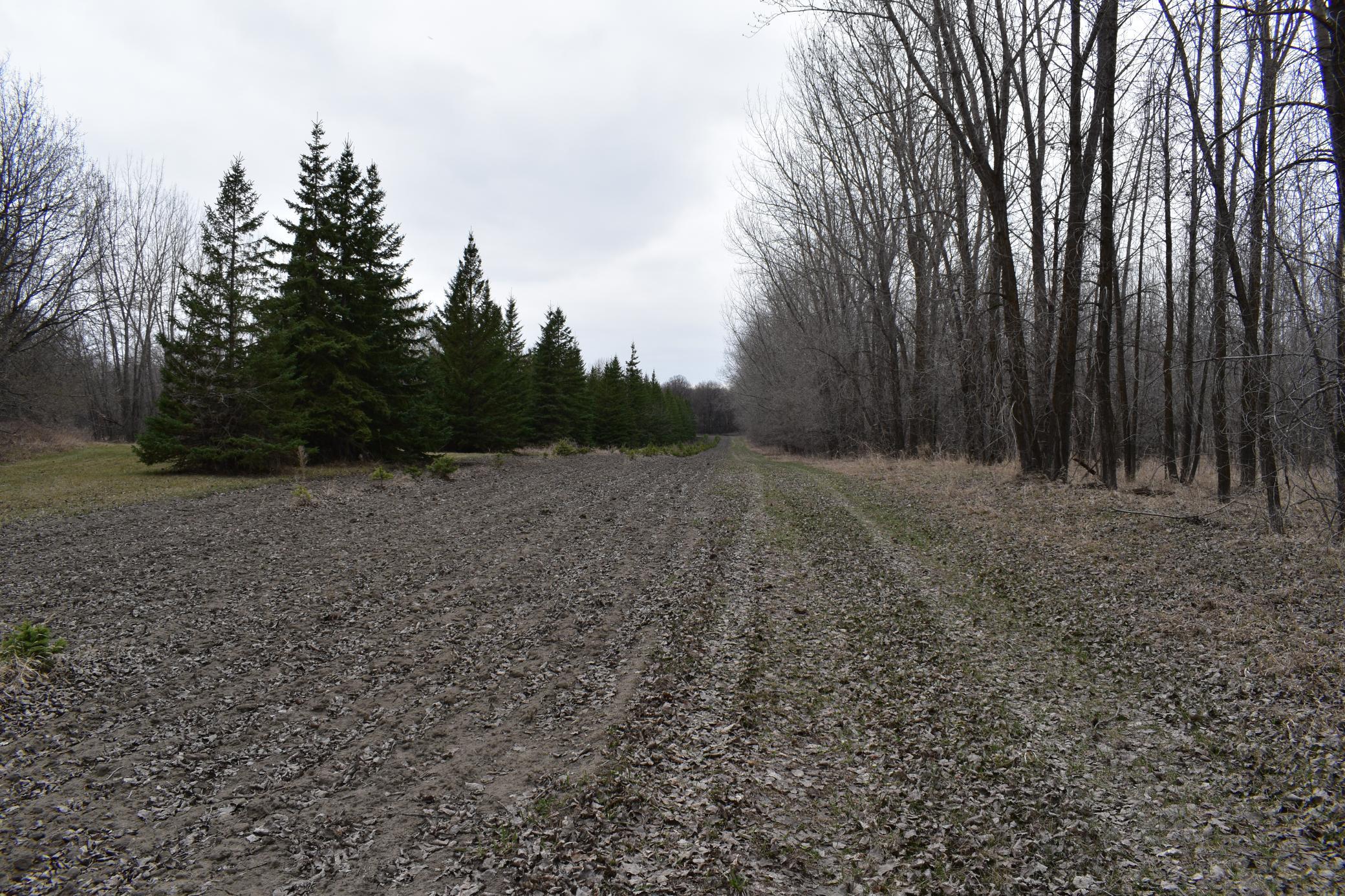 Tbd 370th Avenue Southwest Fisher, MN 56723 - Photo 24 of 42