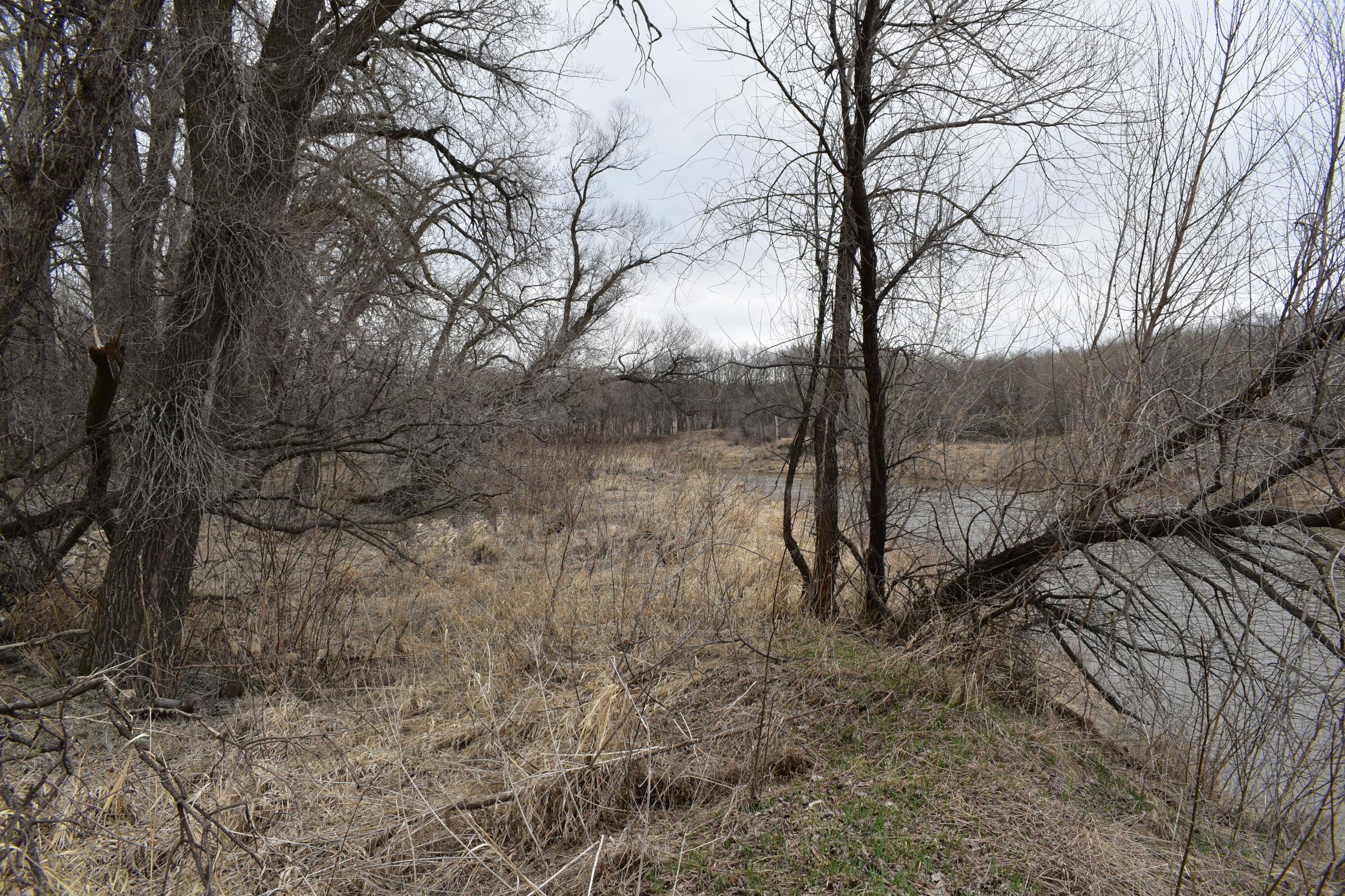 Tbd 370th Avenue Southwest Fisher, MN 56723 - Photo 26 of 42