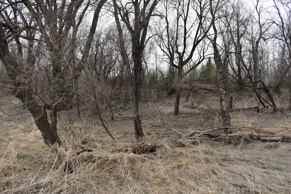 $299,999 | Tbd 370th Avenue Southwest, Fisher, MN 56723