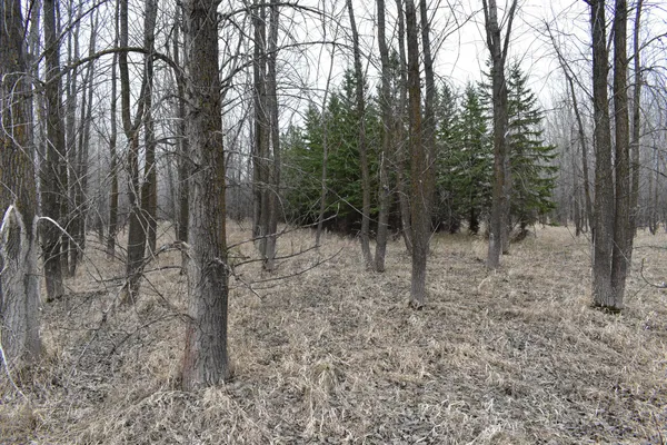 $299,999 | Tbd 370th Avenue Southwest, Fisher, MN 56723