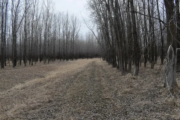 $299,999 | Tbd 370th Avenue Southwest, Fisher, MN 56723