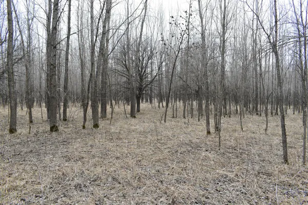 $299,999 | Tbd 370th Avenue Southwest, Fisher, MN 56723