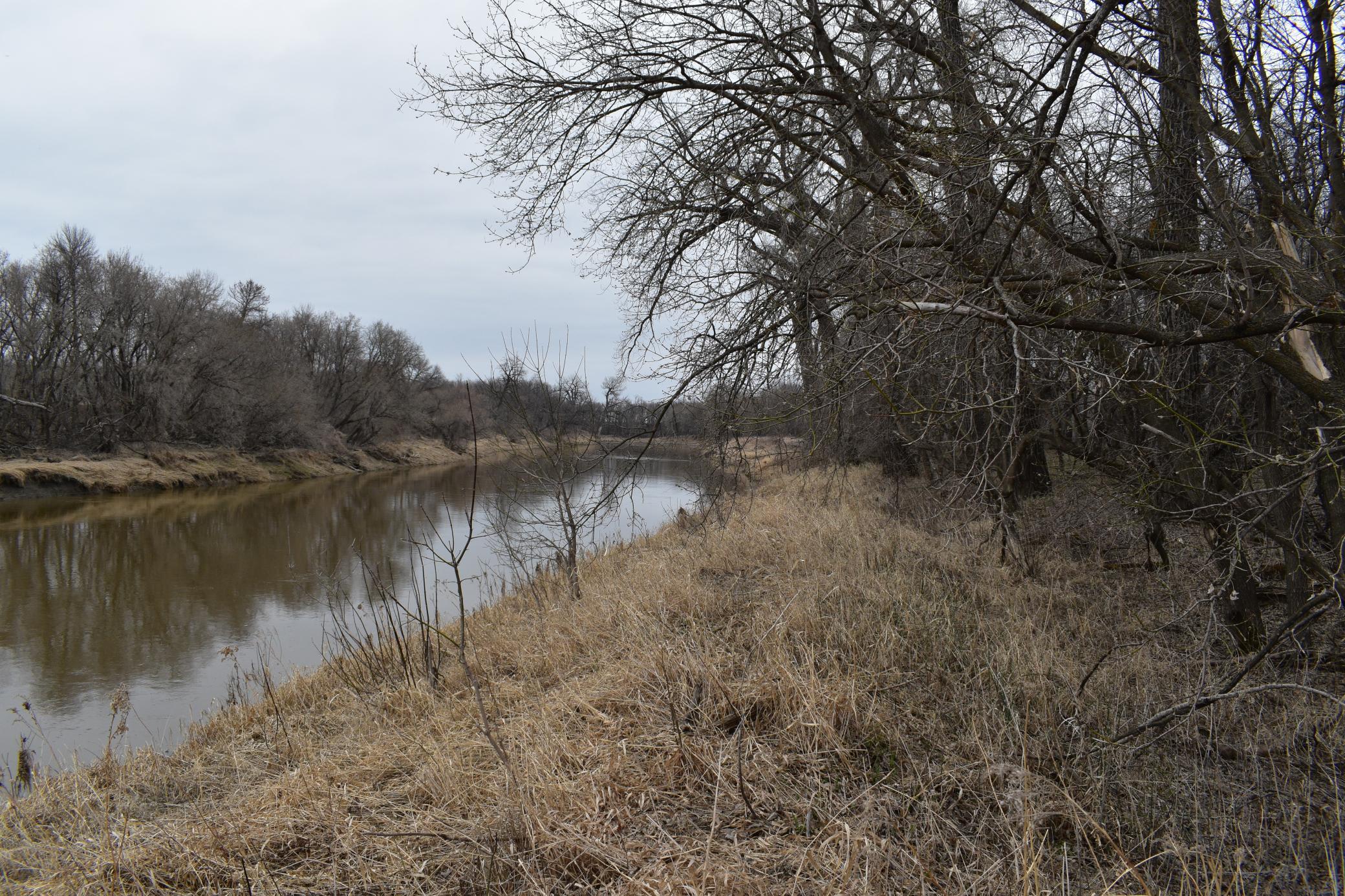 Tbd 370th Avenue Southwest Fisher, MN 56723 - Photo 41 of 42