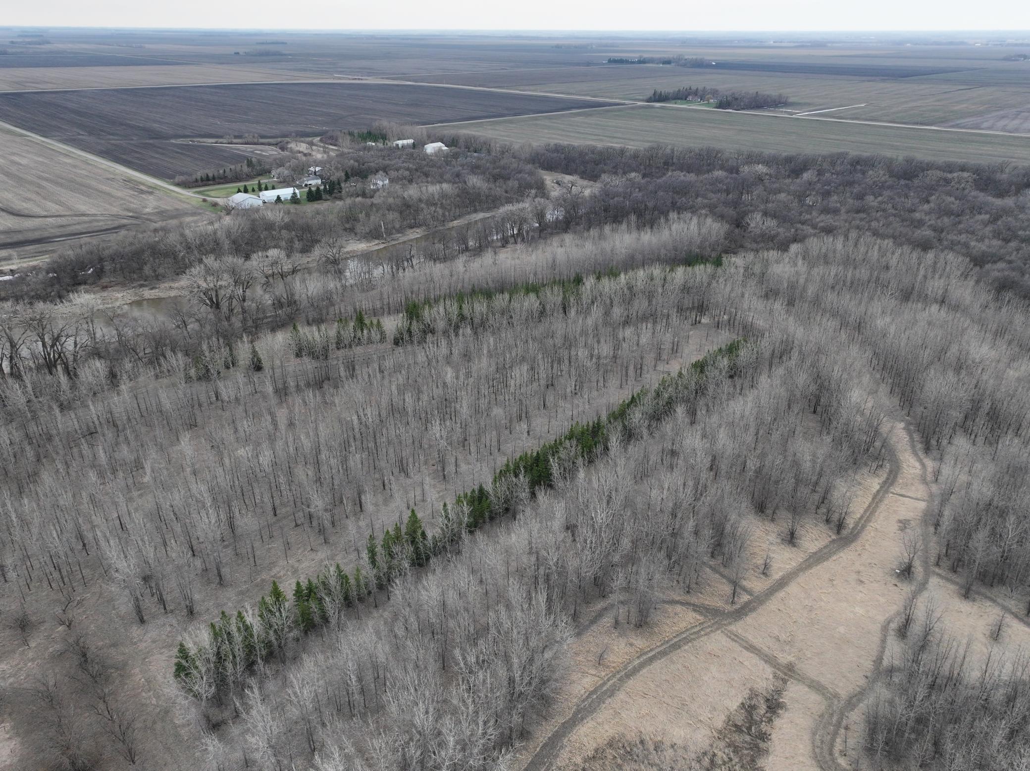 Tbd 370th Avenue Southwest Fisher, MN 56723 - Photo 7 of 42