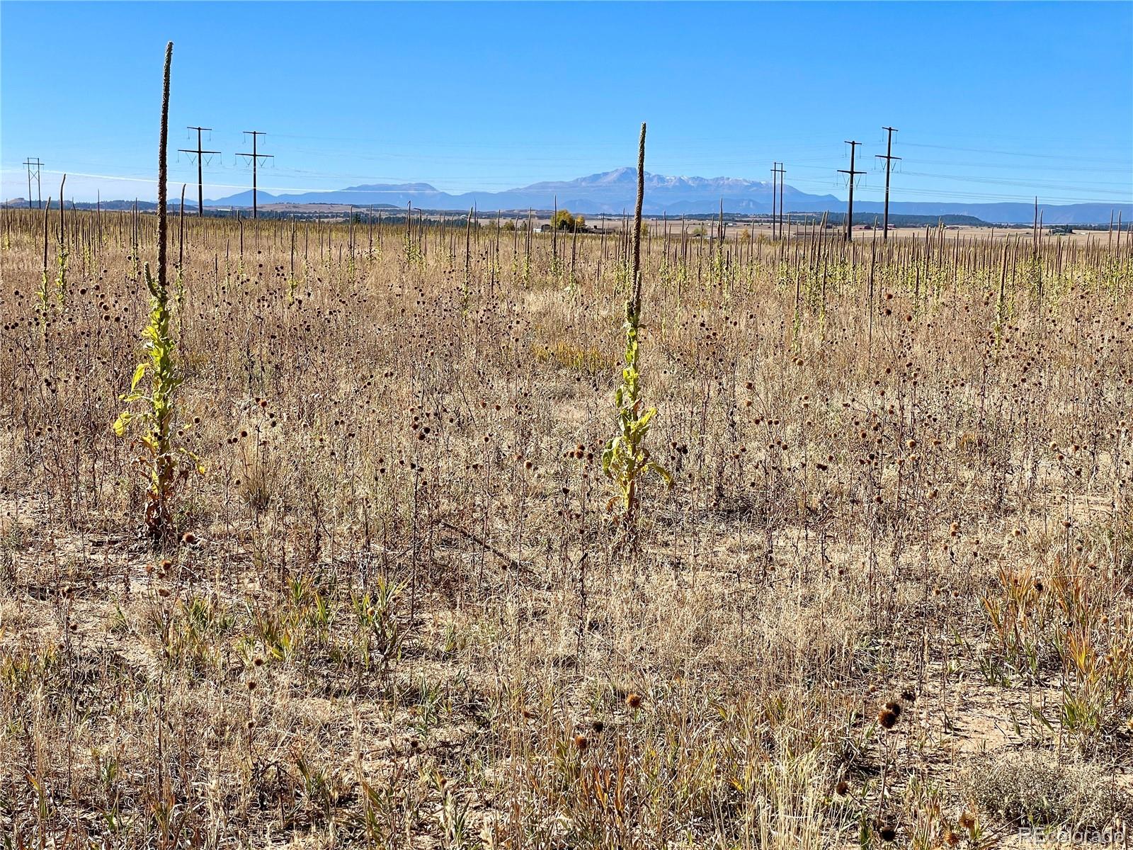 3 County Road 98 Elbert, CO 80106 - Photo 2 of 7