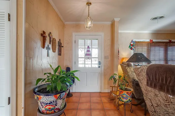 a potted plant sitting in front of a bathroom