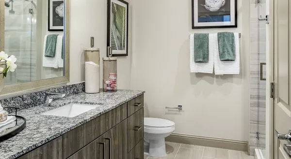a bathroom with a granite countertop sink a mirror and a toilet