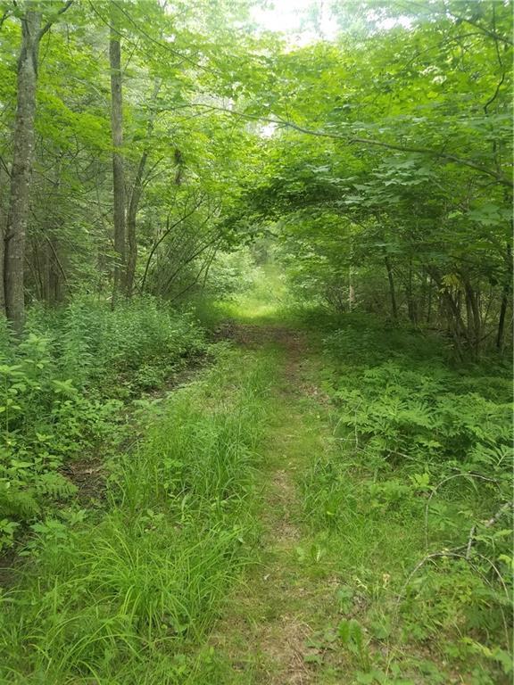 0 Dunbar Road Thomaston, ME 04861 - Photo 3 of 6 Existing roadway