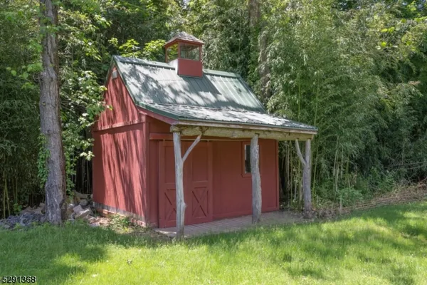 a view of a backyard with plants and large trees