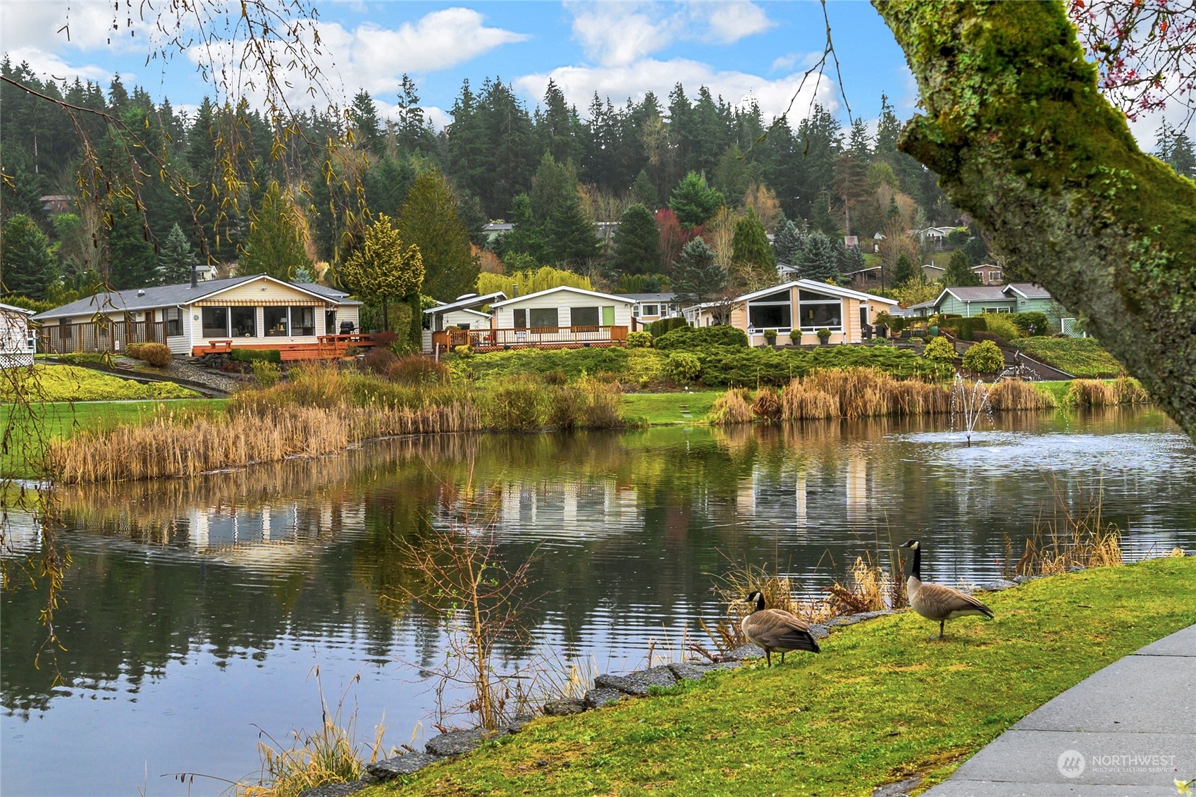 23727 Lake Drive West Bothell, WA 98021 - Photo 5 of 6 Gallery Image 5