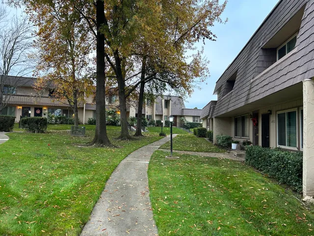 a view of a yard with plants and trees