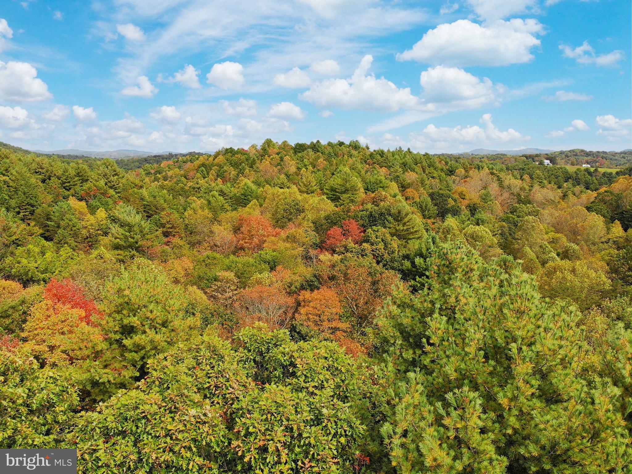 0 Higgs Road Northeast Willis, VA 24380 - Photo 14 of 29