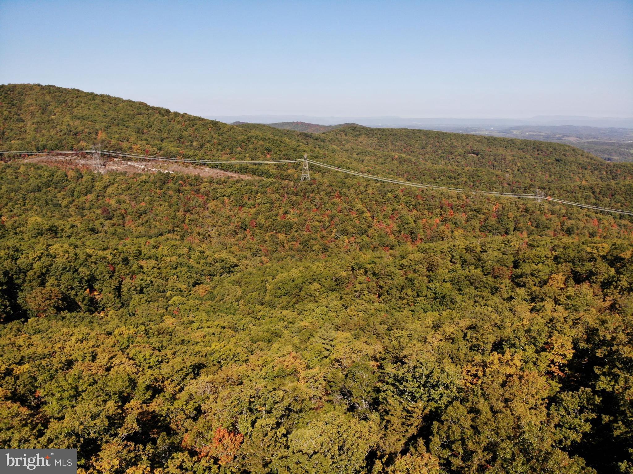 0 Higgs Road Northeast Willis, VA 24380 - Photo 15 of 29
