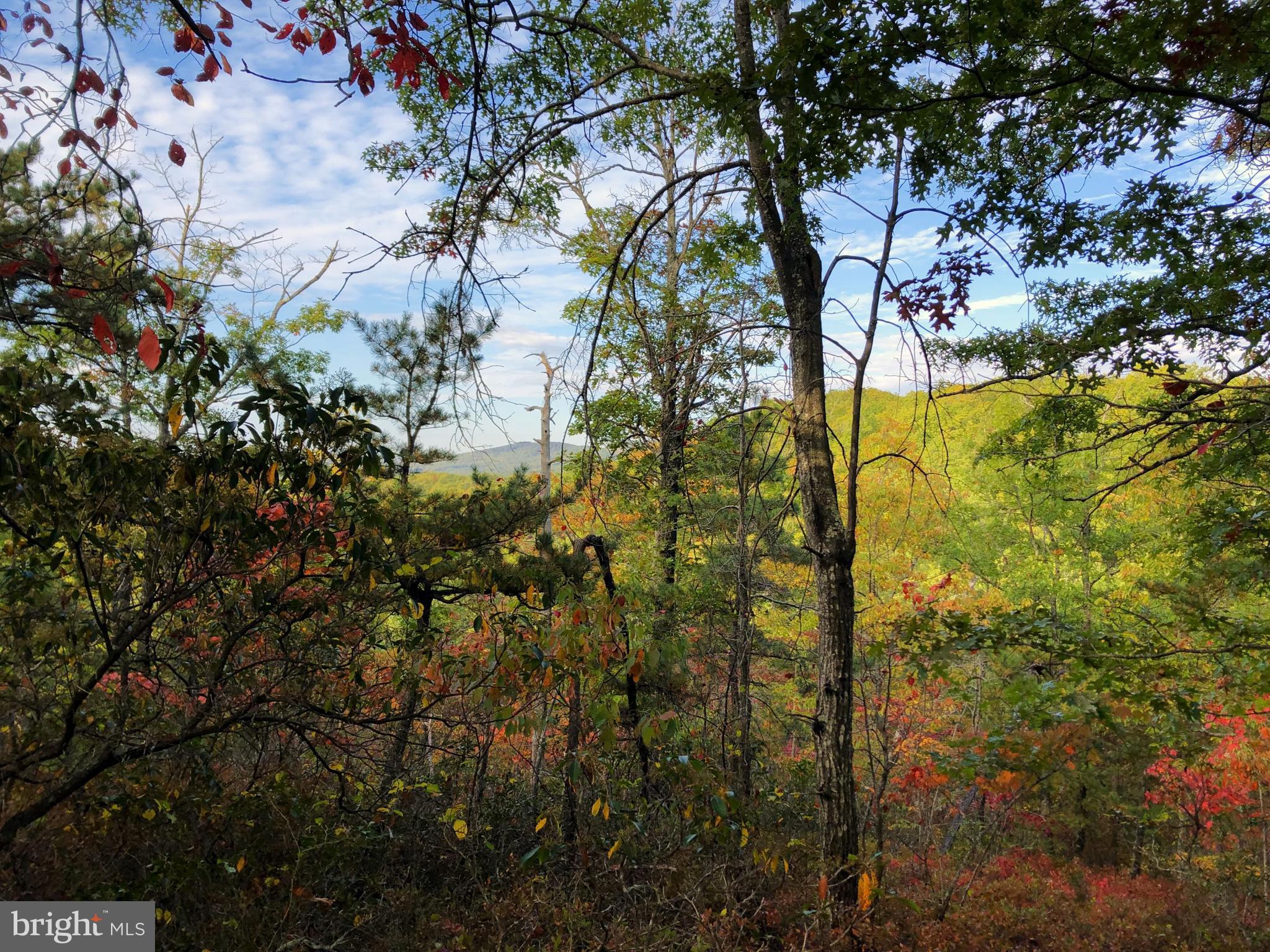 0 Higgs Road Northeast Willis, VA 24380 - Photo 17 of 29