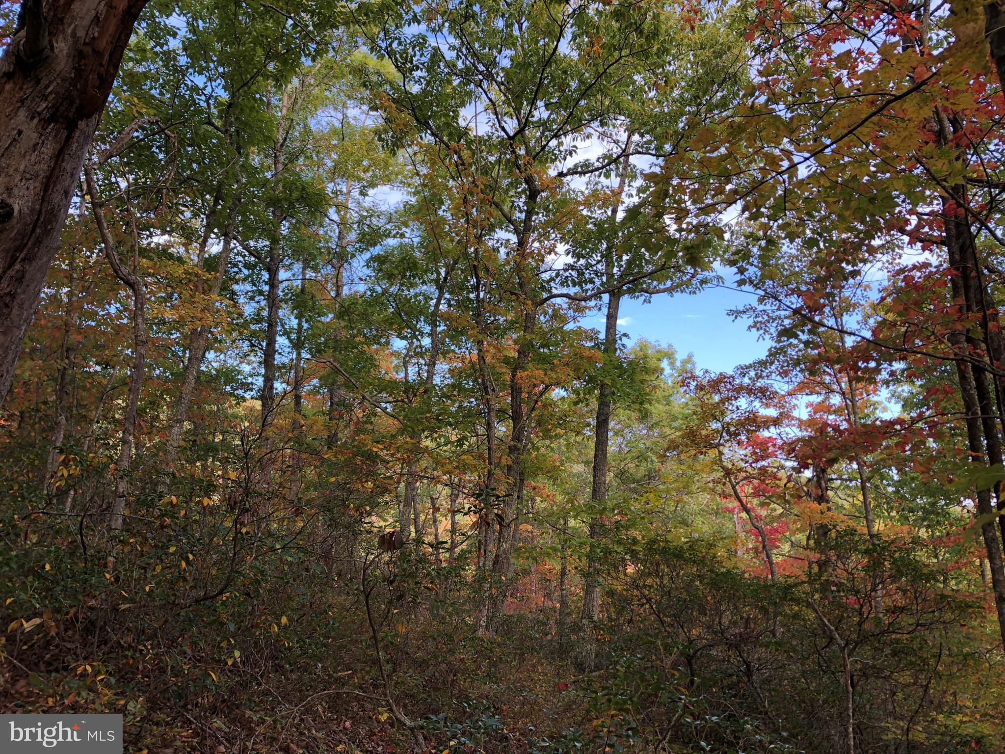 0 Higgs Road Northeast Willis, VA 24380 - Photo 18 of 29
