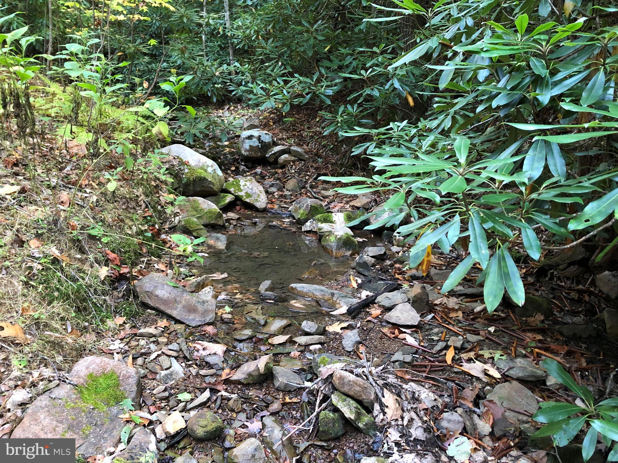 0 Higgs Road Northeast Willis, VA 24380 - Photo 19 of 29