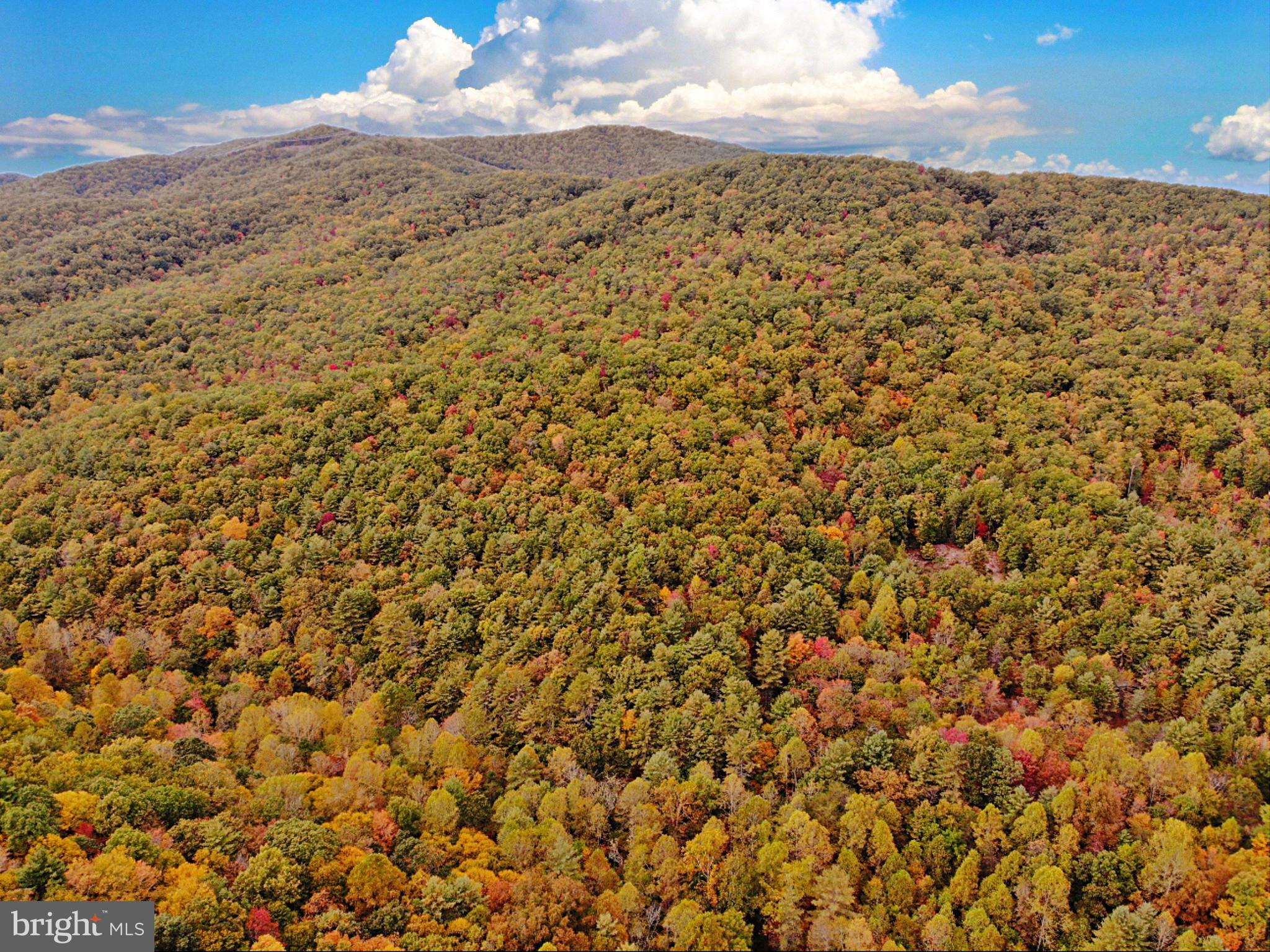 0 Higgs Road Northeast Willis, VA 24380 - Photo 3 of 29 a view of beach and mountain