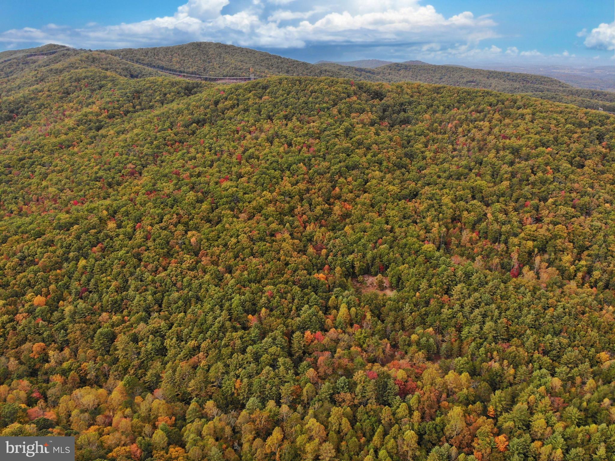 0 Higgs Road Northeast Willis, VA 24380 - Photo 4 of 29 a view of an ocean