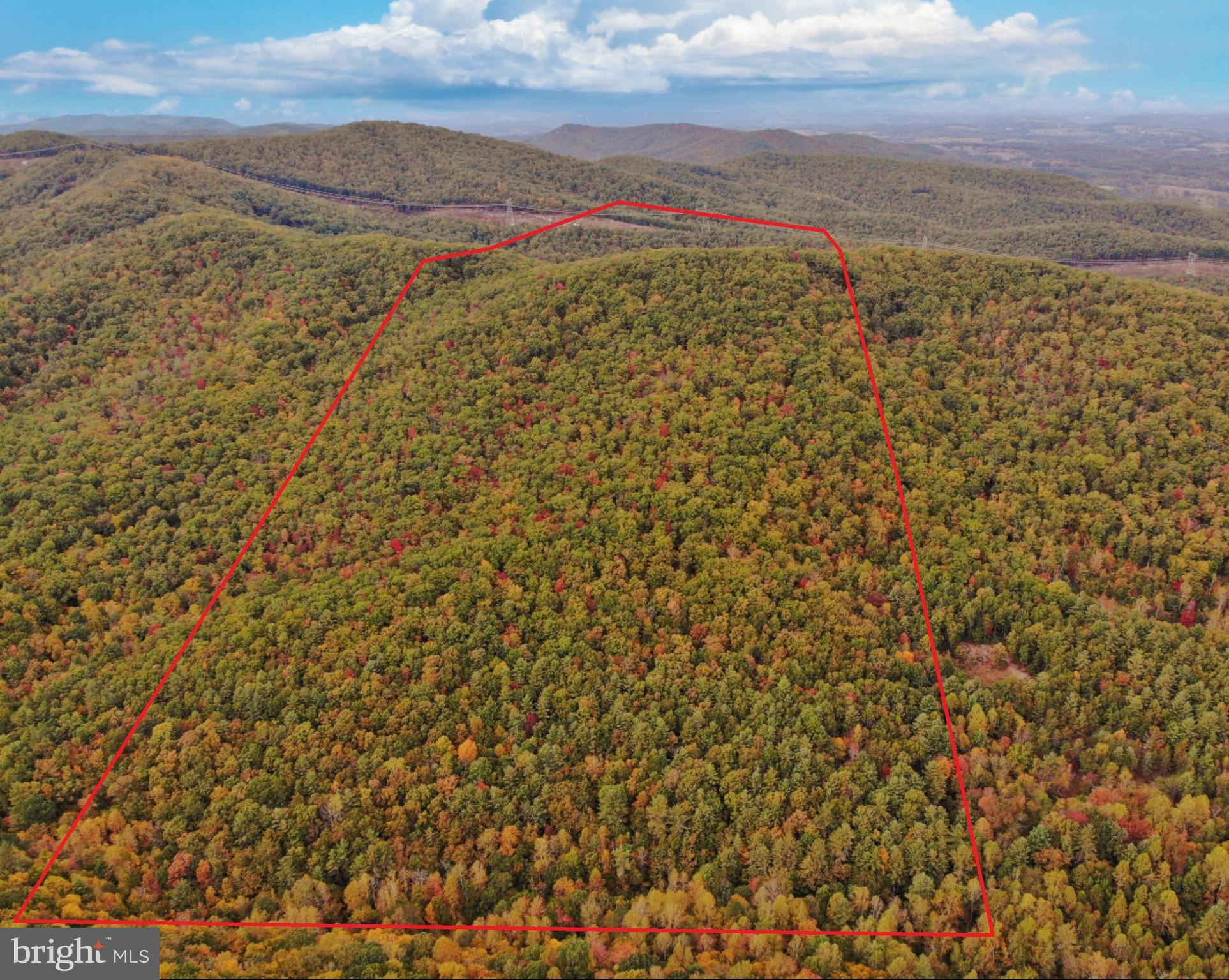 0 Higgs Road Northeast Willis, VA 24380 - Photo 5 of 29 a view of a field with mountains in the background