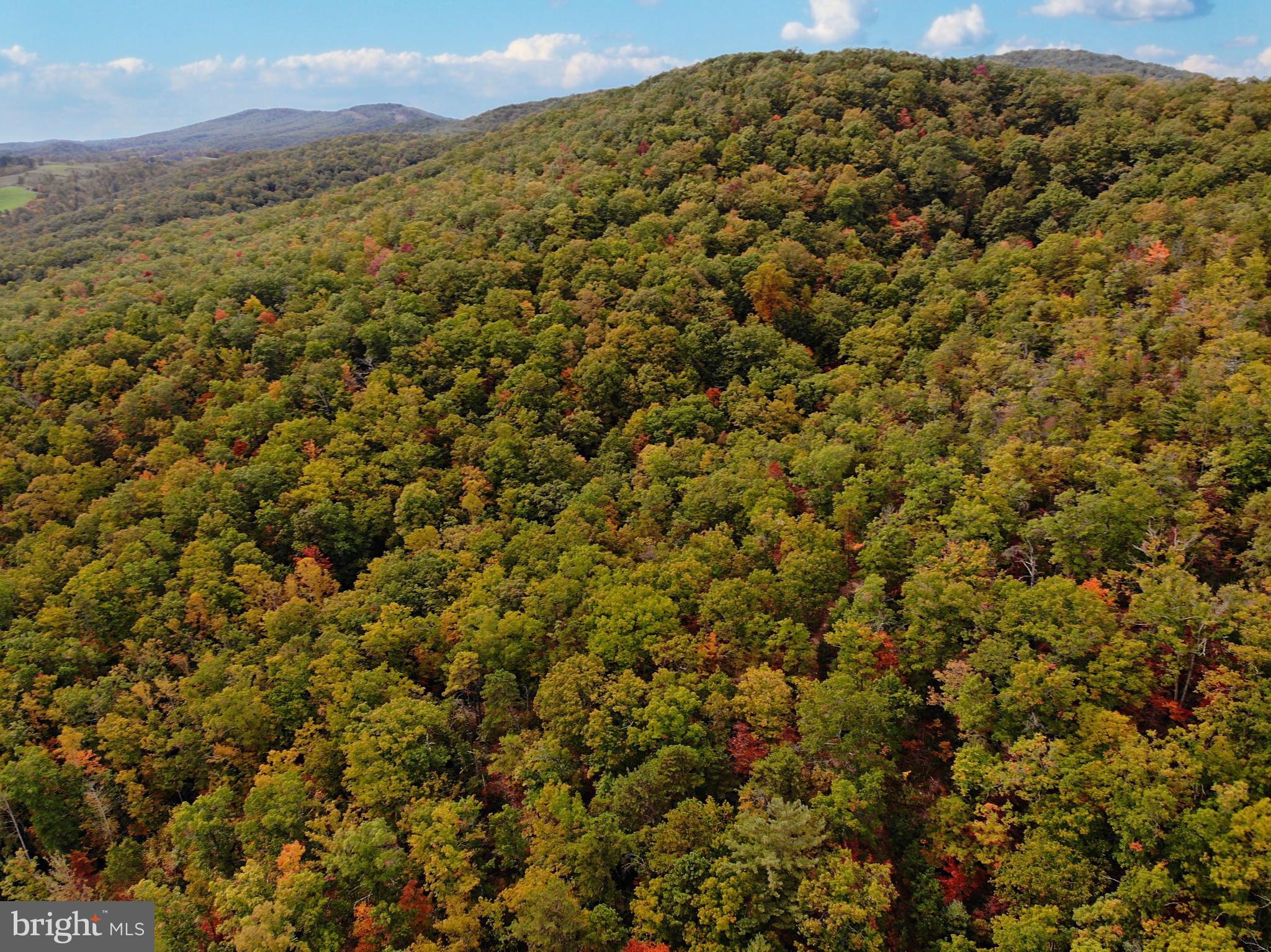 0 Higgs Road Northeast Willis, VA 24380 - Photo 6 of 29