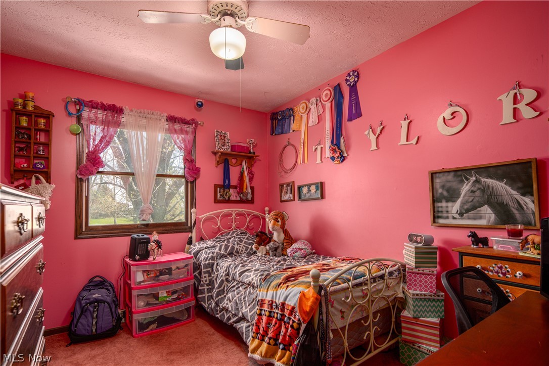 10062 Acme Road Rittman, OH 44270 - Photo 12 of 35 Gallery Image 12