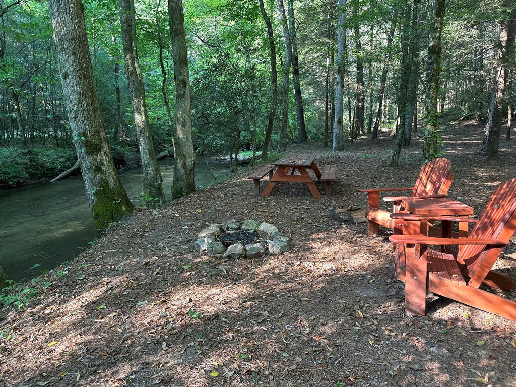 27 R Tanager Trail Ellijay, GA 30536 - Photo 50 of 60 Creekside community area