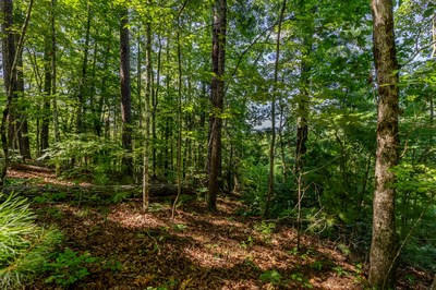 0 Caney Br Road Murphy, NC 28906 - Photo 7 of 12 Gallery Image 7