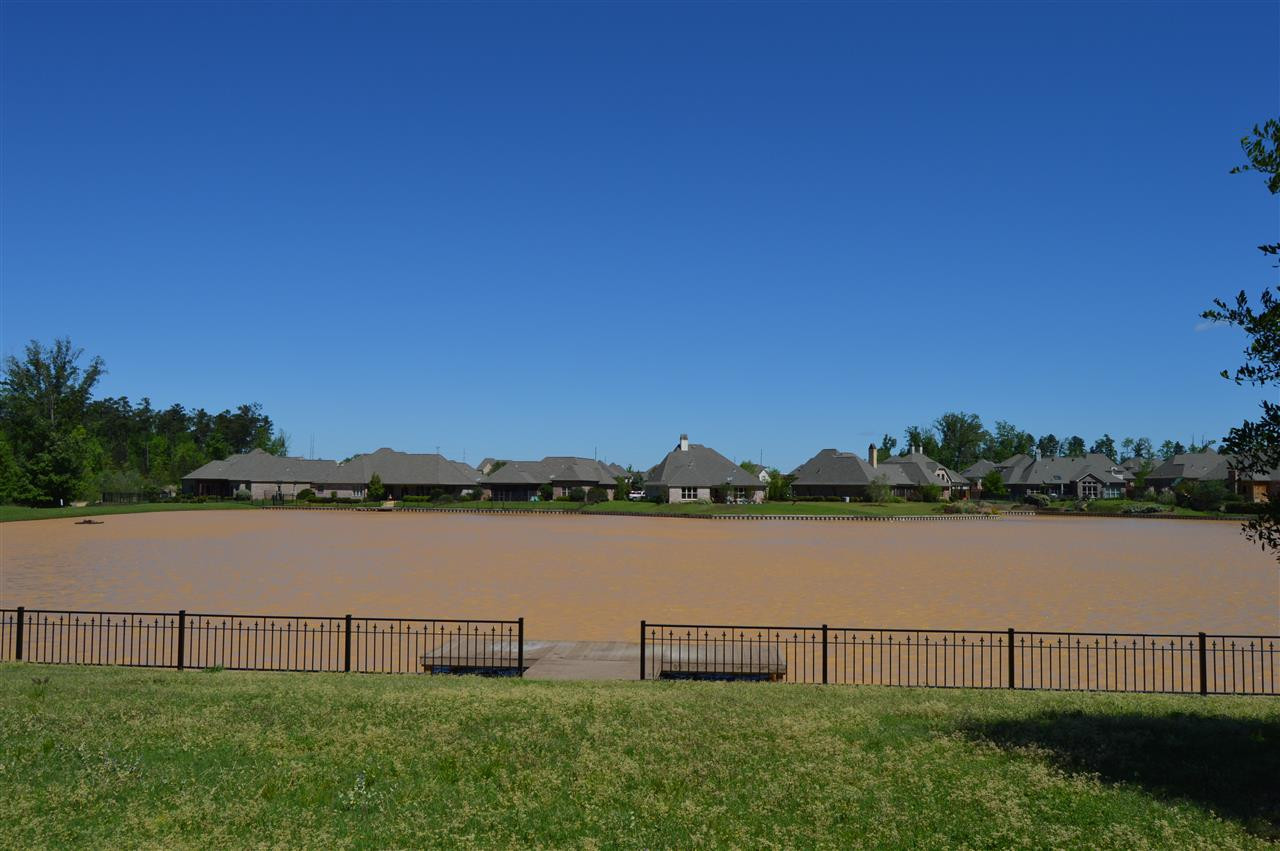 730 Inheritance Place Flowood, MS 39232 - Photo 8 of 46 Photo 8