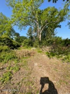 3111 Oaks Road New Bern, NC 28560 - Photo 27 of 27 image4 (1)
