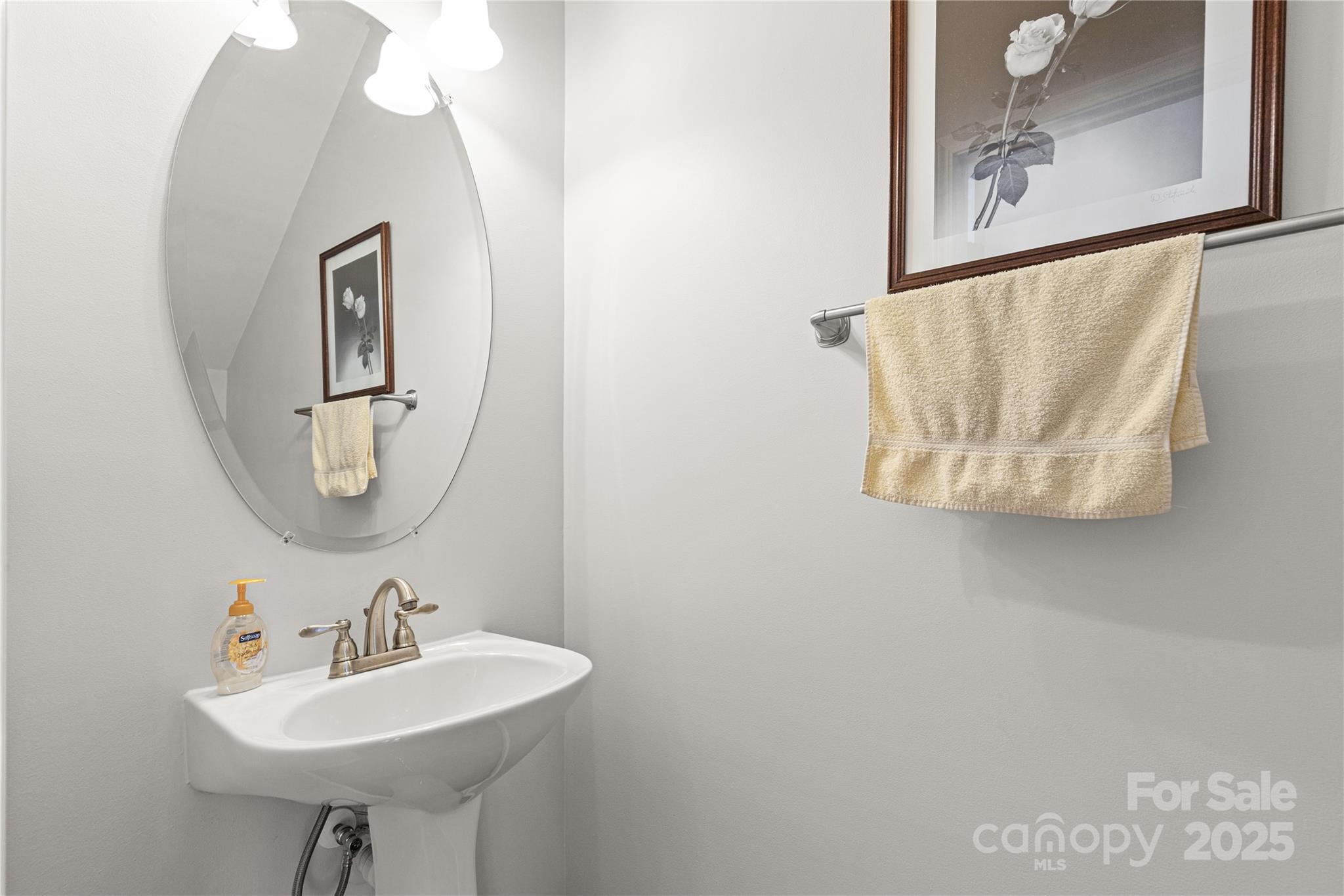 324 Dusk Drive Rock Hill, SC 29732 - Photo 17 of 39 a bathroom with a sink and mirror