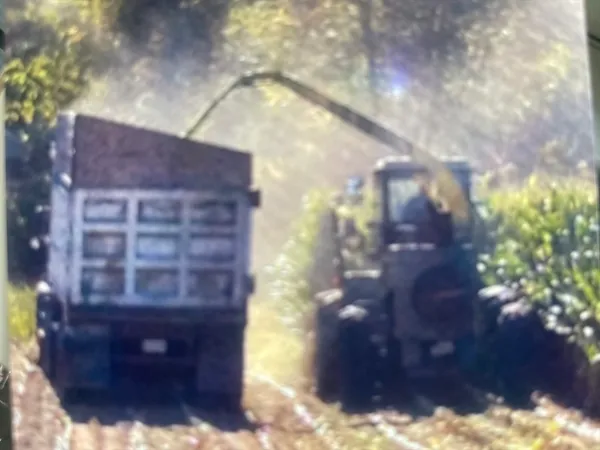 a view of a outdoor space