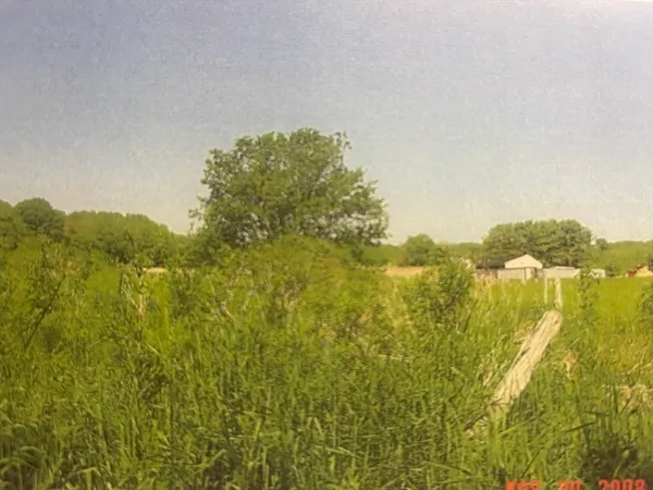 a view of backyard of house with green space