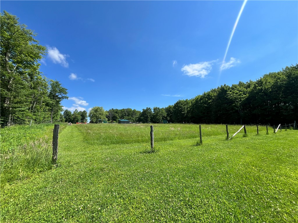 882 Alma Hill Road Alma, NY 14708 - Photo 29 of 46