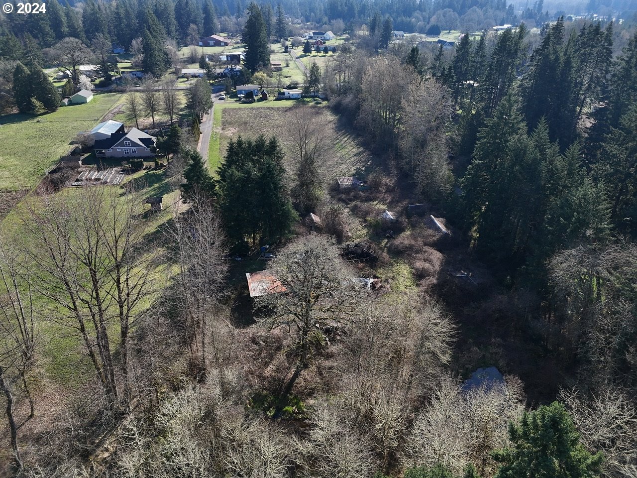 24416 Northeast 50th Avenue Ridgefield, WA 98642 - Photo 3 of 8 Gallery Image 3