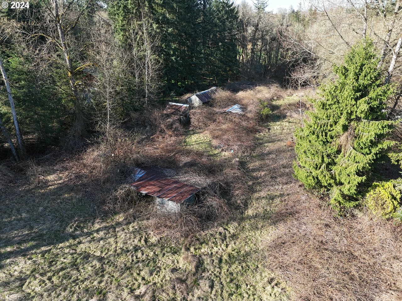 24416 Northeast 50th Avenue Ridgefield, WA 98642 - Photo 5 of 8 Gallery Image 5