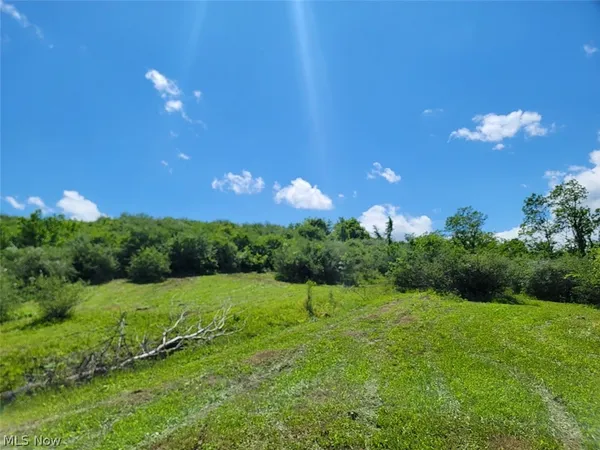 $98,500 | V/l V/l Shephard, Bethesda, OH 43719