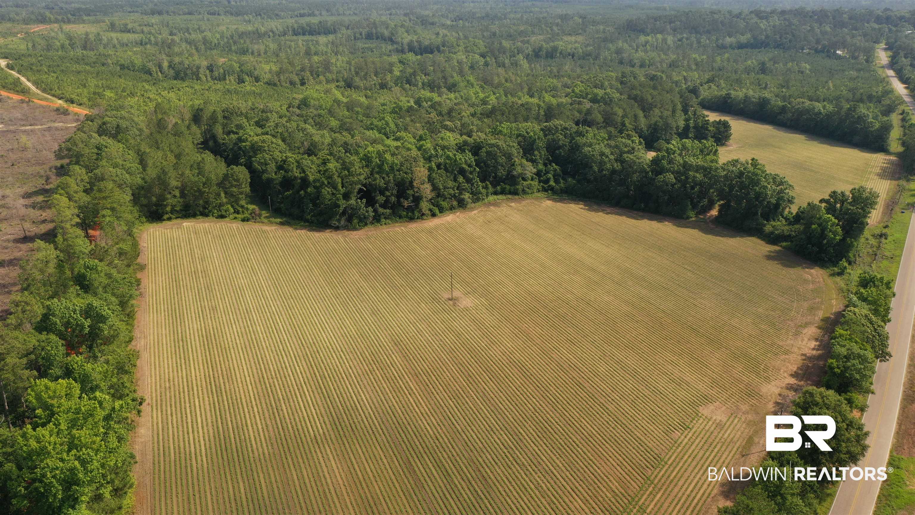 6 Travis Road Brewton, AL 36426 - Photo 10 of 22
