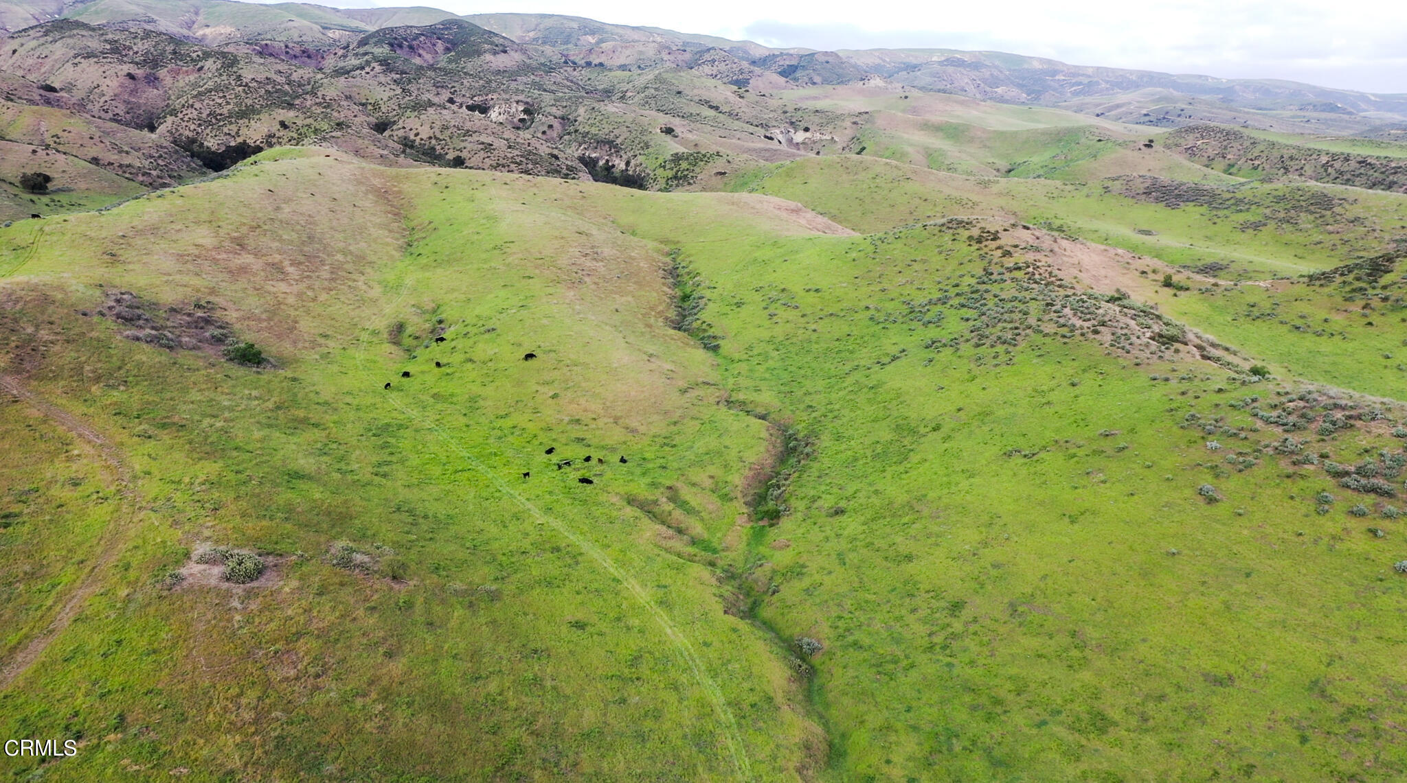 15155 Middle Ranch Road Moorpark, CA 93021 - Photo 11 of 13 MLS11