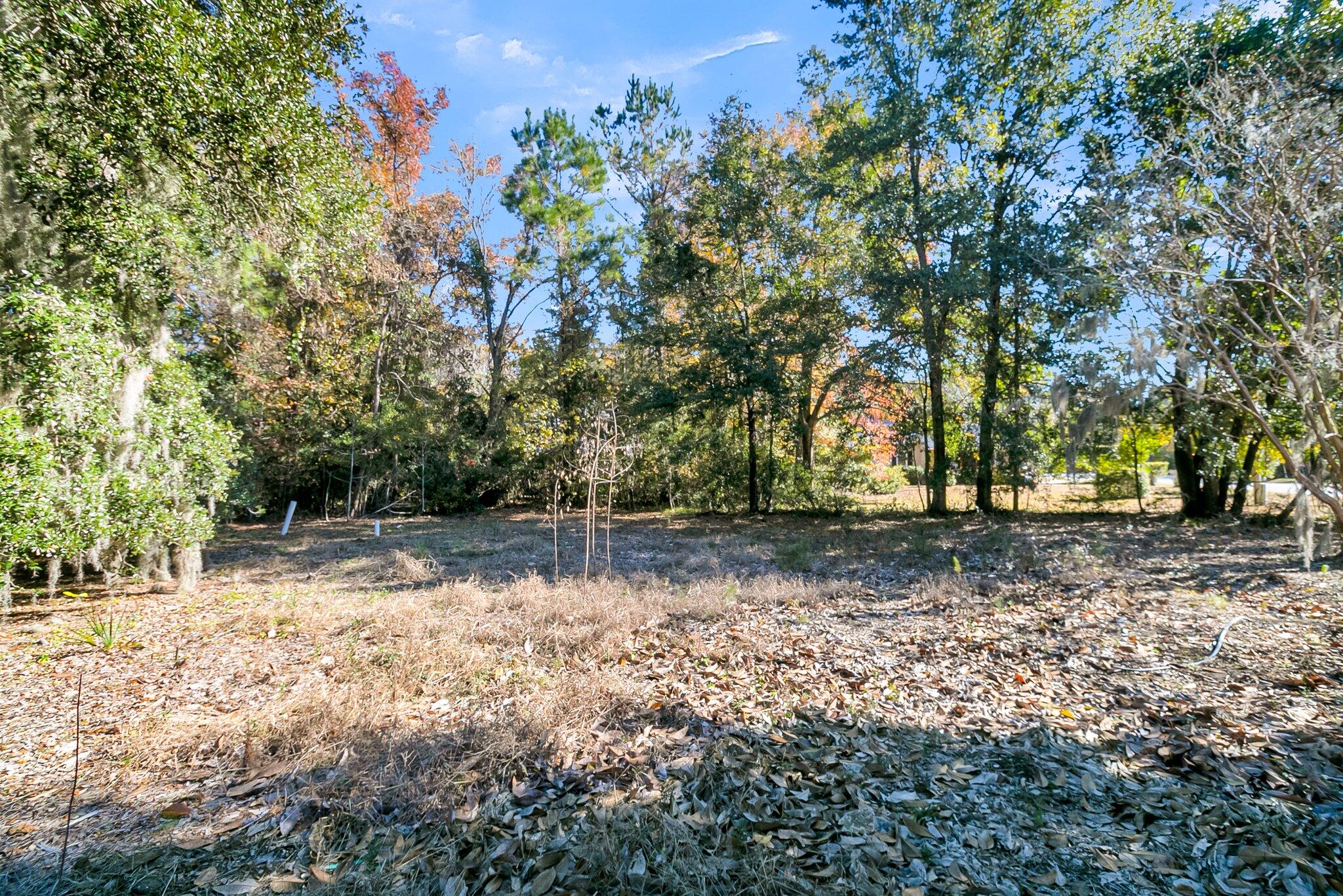 1410 Jefferson Road Mount Pleasant, SC 29466 - Photo 7 of 25 CREM - 1410 Jefferson Rd-21
