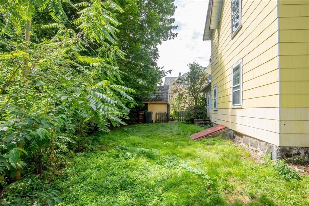 50 Clark Street Dedham, MA 02026 - Photo 31 of 38 a view of a backyard with plants and a large tree