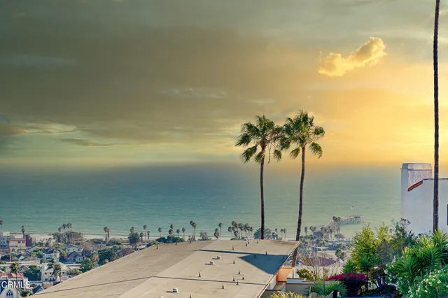 a view of a yard with an outdoor space