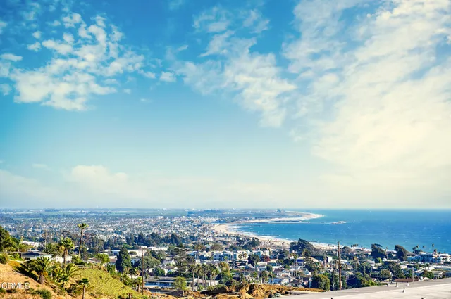 a view of a bunch of trees and bushes