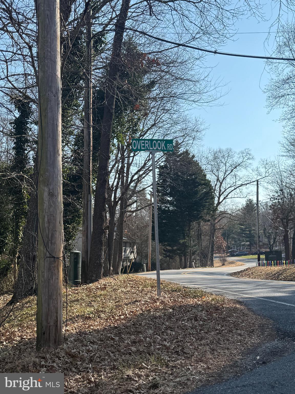 8272 Overlook Road Lusby, MD 20657 - Photo 6 of 6 a view of road with trees