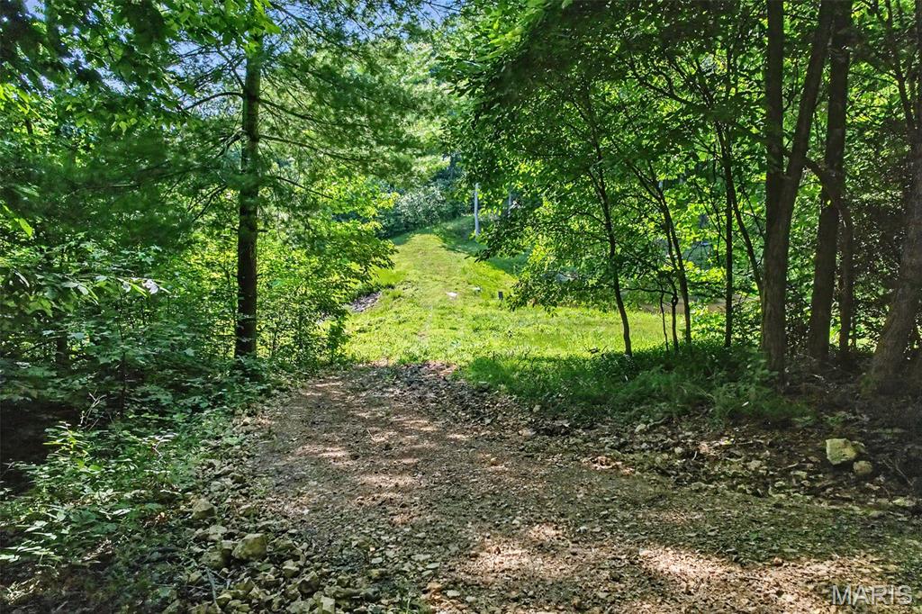 Undisclosed Undisclosed Ridge Cape Girardeau, MO 63701 - Photo 85 of 93