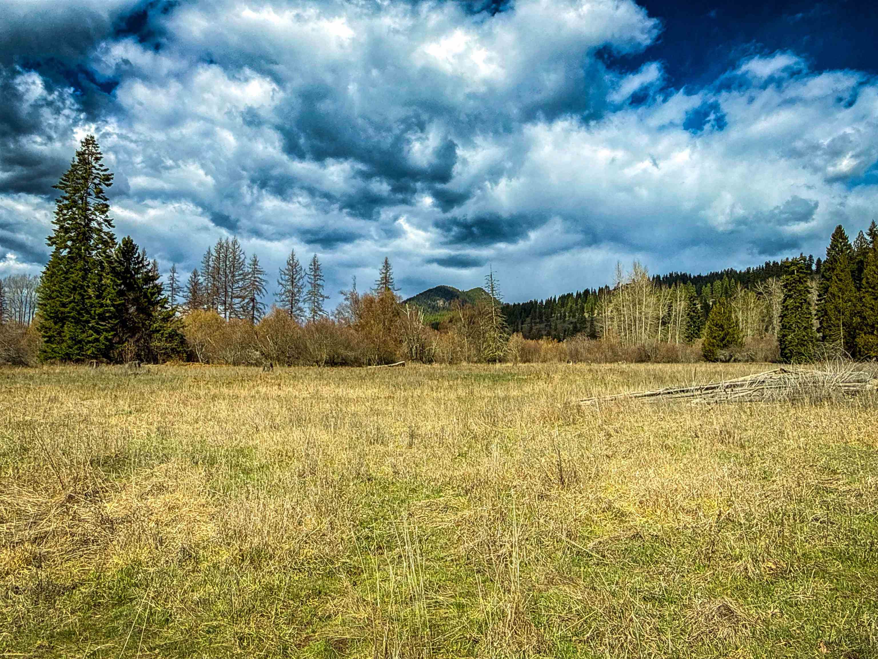 901 Skookum Creek Road Usk, WA 99180 - Photo 33 of 50