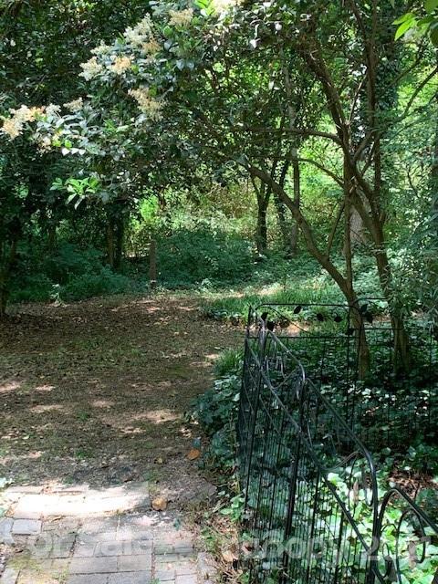 906 Elizabeth Road Shelby, NC 28150 - Photo 34 of 36 Gallery Image 34