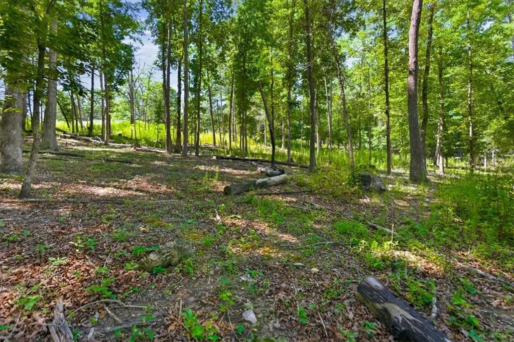 0 Williams Road Southeast Silver Creek, GA 30173 - Photo 24 of 35