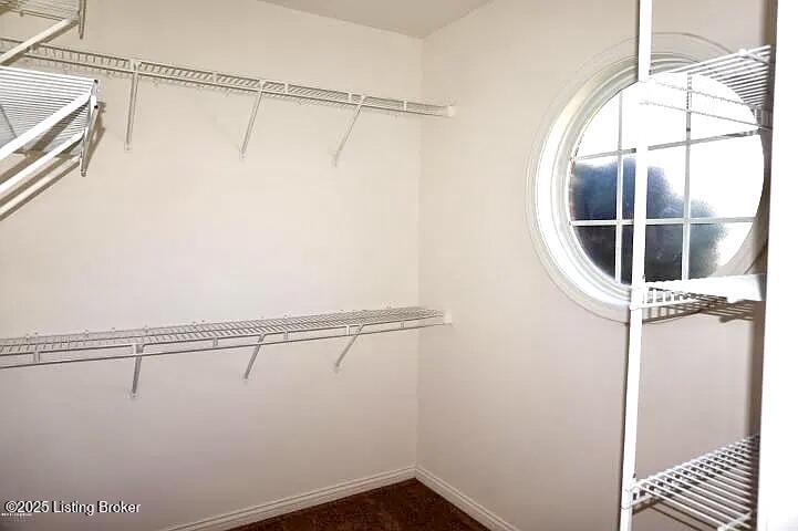 7816 Turtle Run Court, Unit CTF Prospect, KY 40059 - Photo 16 of 20 Large walk in closet for primary bedroom