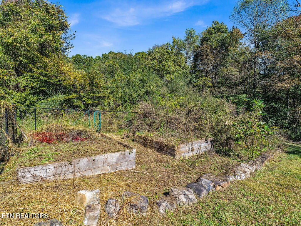 139 CCC Camp Road Norris, TN 37828 - Photo 50 of 59 Gallery Image 50